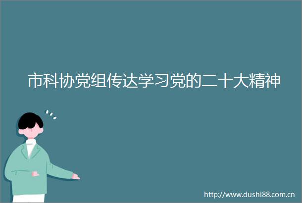 市科协党组传达学习党的二十大精神