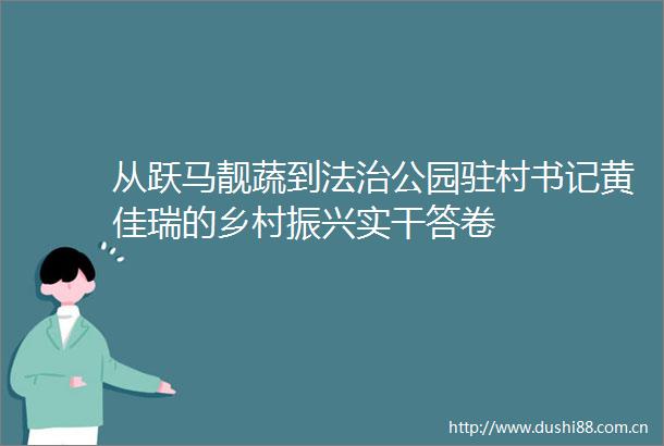 从跃马靓蔬到法治公园驻村书记黄佳瑞的乡村振兴实干答卷
