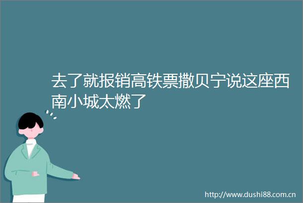 去了就报销高铁票撒贝宁说这座西南小城太燃了