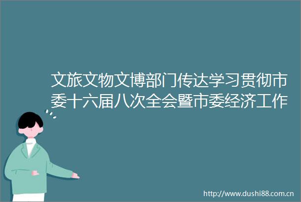 文旅文物文博部门传达学习贯彻市委十六届八次全会暨市委经济工作会议精神