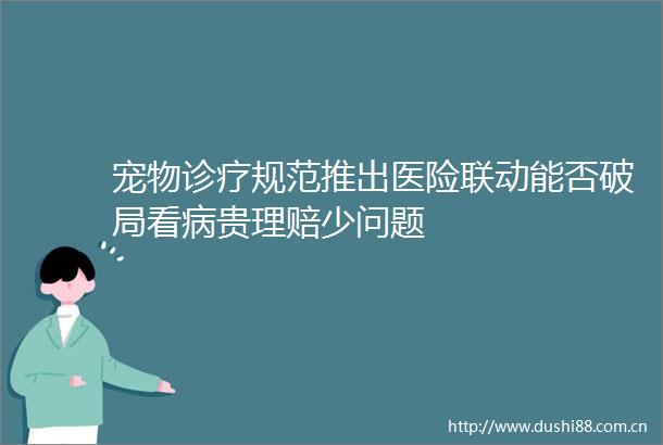 宠物诊疗规范推出医险联动能否破局看病贵理赔少问题