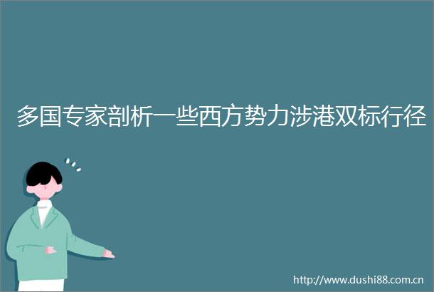 多国专家剖析一些西方势力涉港双标行径