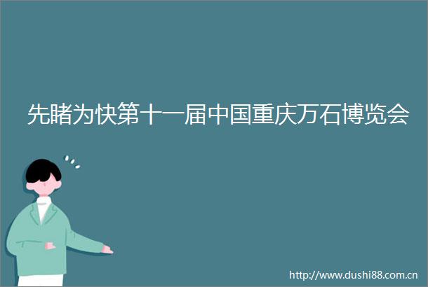 先睹为快第十一届重庆万石博览会