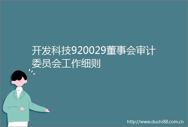开发科技920029董事会审计委员会工作细则