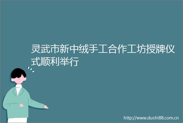 灵武市新中绒手工合作工坊授牌仪式顺利举行