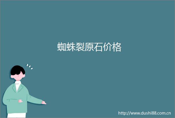 蜘蛛裂原石价格