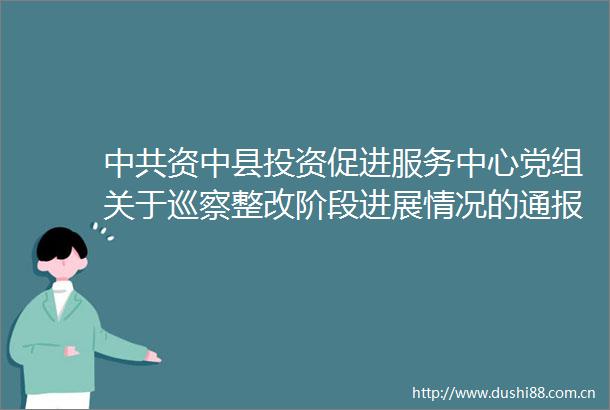 资中县投资促进服务中心党组关于巡察整改阶段进展情况的通报