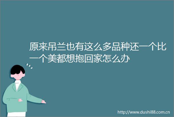 原来吊兰也有这么多品种还一个比一个美都想抱回家怎么办