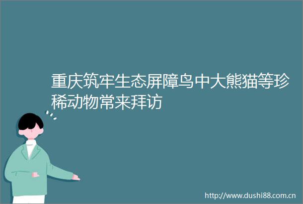 重庆筑牢生态屏障鸟中大熊猫等珍稀动物常来拜访
