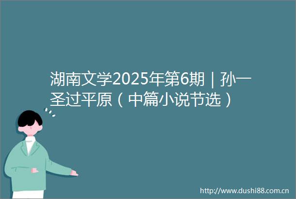 湖南文学2025年第6期｜孙一圣过平原（中篇小说节选）