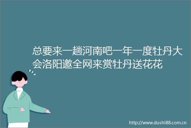 总要来一趟河南吧一年一度牡丹大会洛阳邀全网来赏牡丹送花花