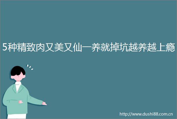 5种精致肉又美又仙一养就掉坑越养越上瘾