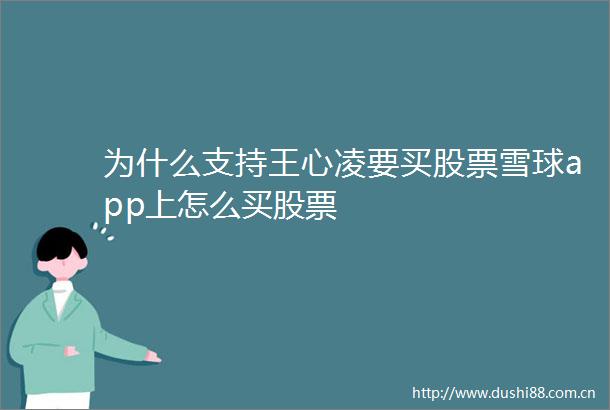 为什么支持王心凌要买股票雪球app上怎么买股票