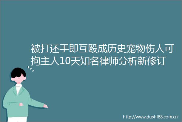 被打还手即互殴成历史宠物伤人可拘主人10天知名律师分析新修订的治安管理法