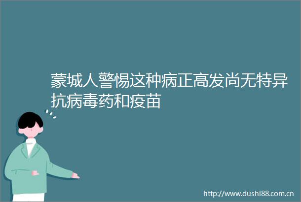 蒙城人警惕这种病正高发尚无特异抗病毒药和疫苗