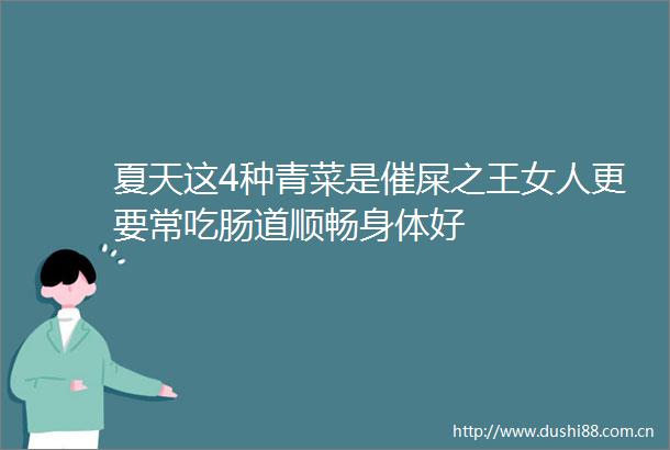 夏天这4种青菜是催屎之王女人更要常吃肠道顺畅身体好
