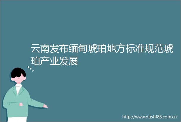 云南发布缅甸琥珀地方标准规范琥珀产业发展
