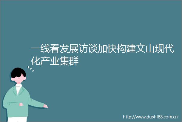 一线看发展访谈加快构建文山现代化产业集群