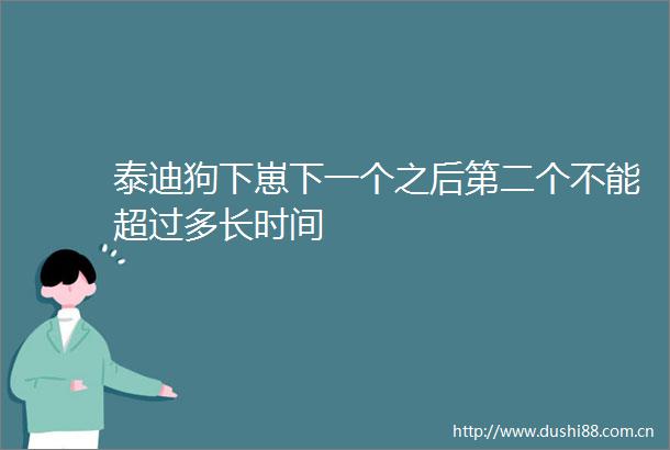 泰迪狗下崽下一个之后第二个不能超过多长时间