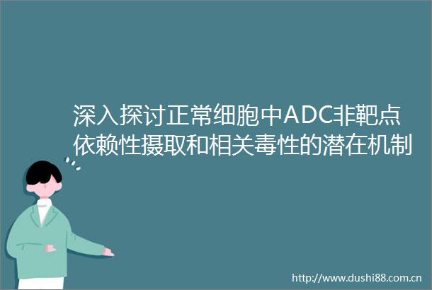 深入探讨正常细胞中ADC非靶点依赖性摄取和相关毒性的潜在机制（上篇）