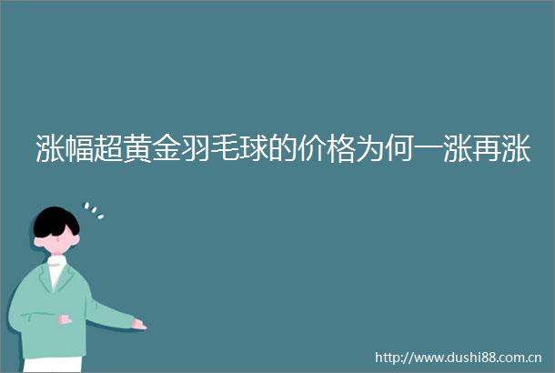 涨幅超黄金羽毛球的价格为何一涨再涨