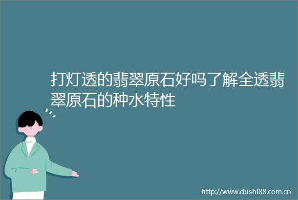 打灯透的翡翠原石好吗了解全透翡翠原石的种水特性