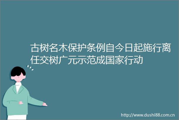 古树名木保护条例自今日起施行离任交树广元示范成行动