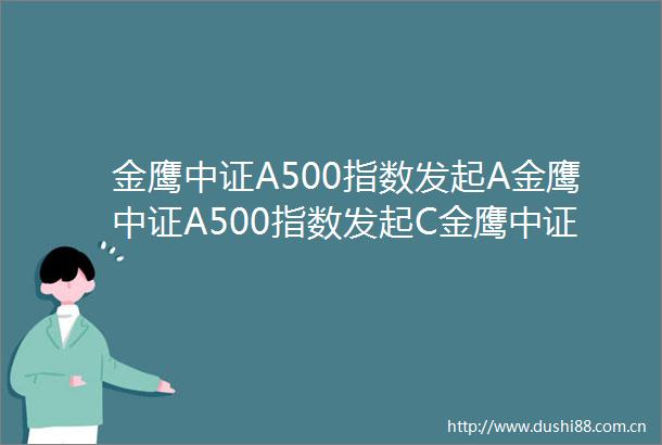 金鹰中证A500指数发起A金鹰中证A500指数发起C金鹰中证A500指数型发起式证券投资基金基金合同