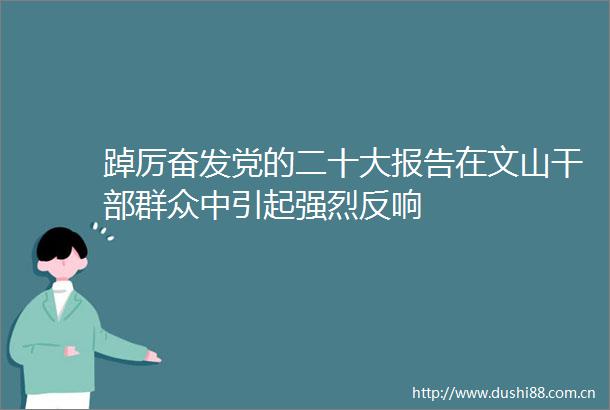 踔厉奋发党的二十大报告在文山群众中引起强烈反响