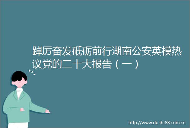 踔厉奋发砥砺前行湖南英模热议党的二十大报告（一）