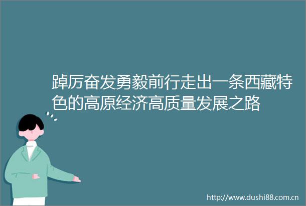 踔厉奋发勇毅前行走出一条西藏特色的高原经济高质量发展之路