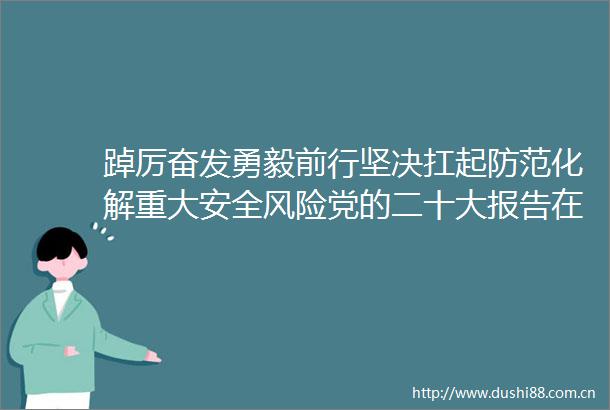 踔厉奋发勇毅前行坚决扛起防范化解重大安全风险党的二十大报告在省应急厅引起热烈反响二