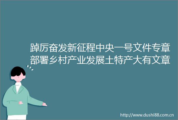 踔厉奋发新征程中央一号文件专章部署乡村产业发展土特产大有文章可做