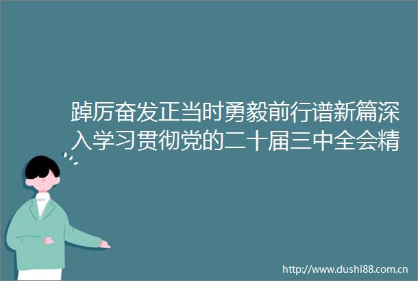 踔厉奋发正当时勇毅前行谱新篇深入学习贯彻党的二十届三中全会精神