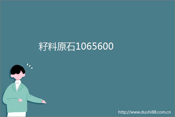籽料原石1065600