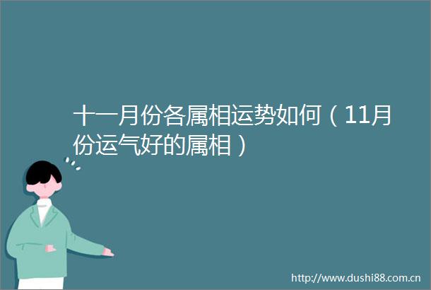 十一月份各属相运势如何（11月份运气好的属相）
