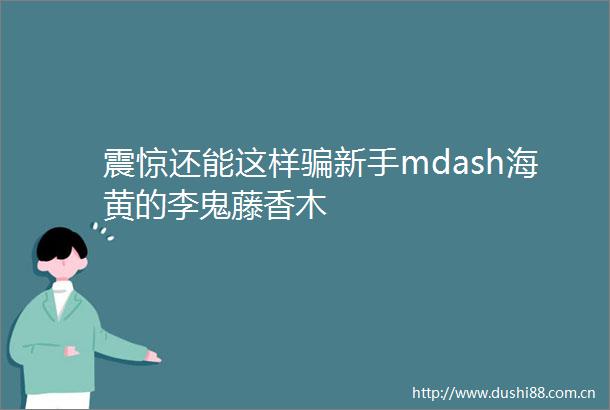 震惊还能这样新手mdash海黄的李鬼藤香木