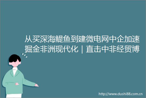 从买深海鳀鱼到建微电网中企加速掘金非洲现代化｜直击中非经贸博览会
