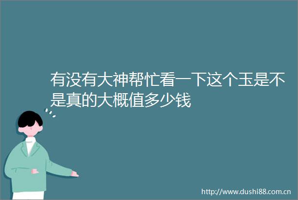 有没有大神帮忙看一下这个玉是不是真的大概值多少钱