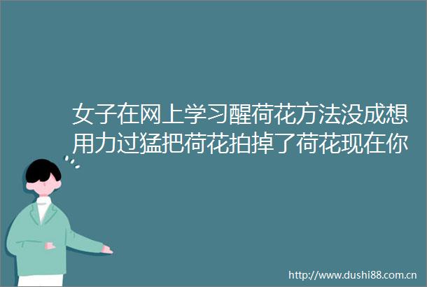 女子在网上学习醒荷花方法没成想用力过猛把荷花拍掉了荷花现在你满意了吧