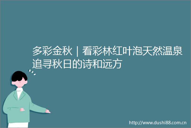 多彩金秋｜看彩林红叶泡天然温泉追寻秋日的诗和远方