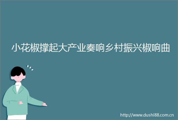 小花椒撑起大产业奏响乡村振兴椒响曲