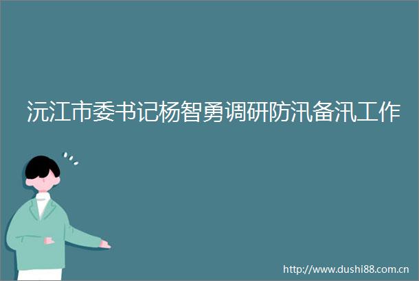 沅江市委书记杨智勇调研防汛备汛工作