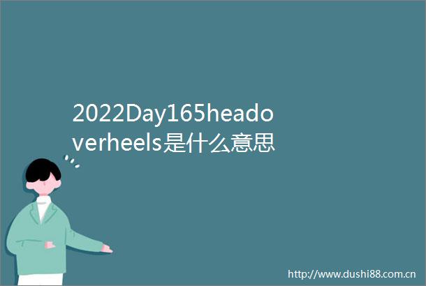 2022Day165headoverheels是什么意思