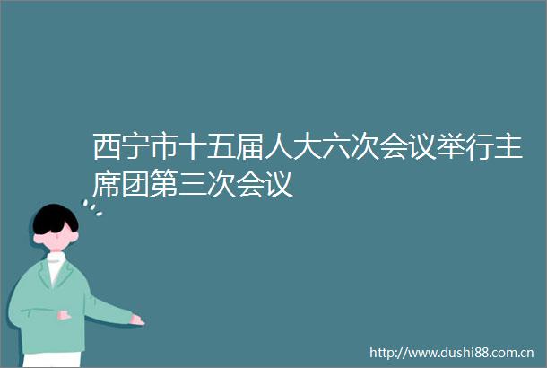 西宁市十五届人大六次会议举行团第三次会议
