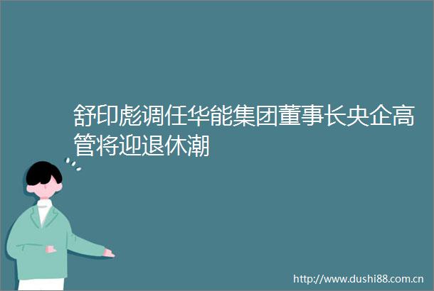 舒印彪调任华能集团董事长央企高管将迎退休潮