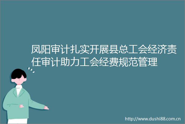 凤阳审计扎实开展县总工会经济责任审计助力工会经费规范管理