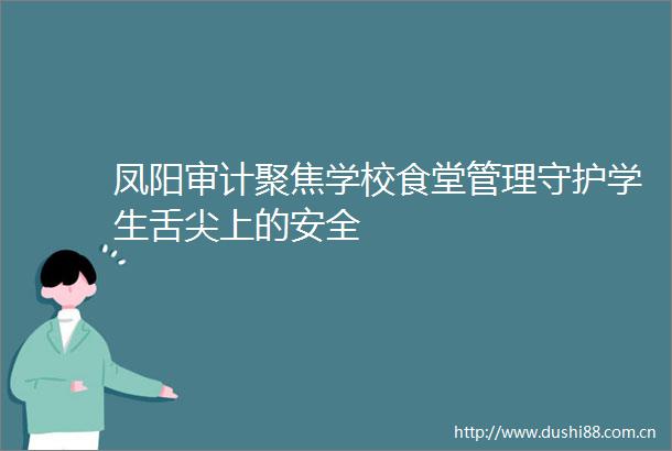 凤阳审计聚焦学校食堂管理守护学生舌尖上的安全