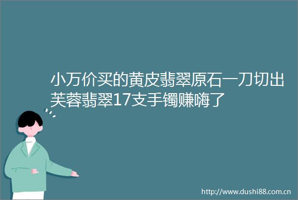 小万价买的黄皮翡翠原石一刀切出芙蓉翡翠17支手镯赚嗨了