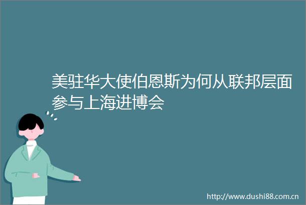 美驻华大使伯恩斯为何从联邦层面参与上海进博会